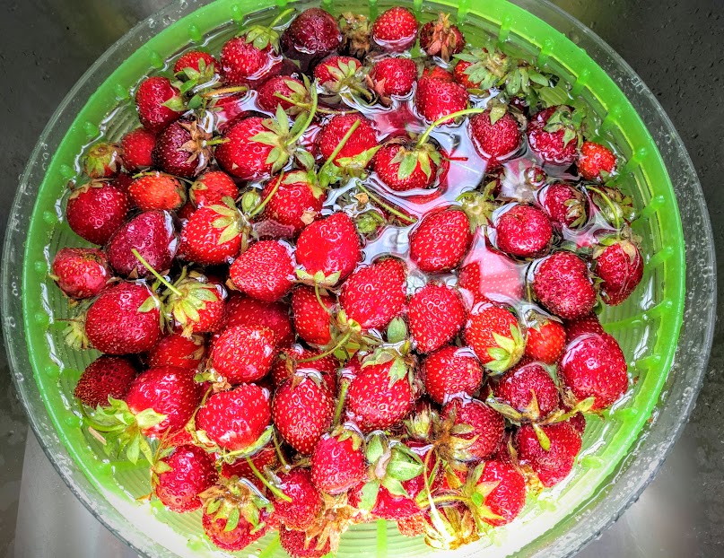washing berries in vinegar water