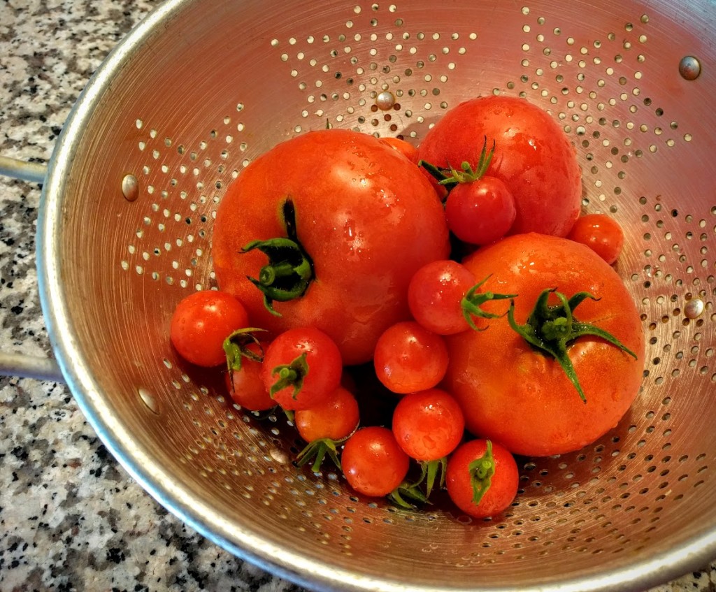 10 Minute Garden Fresh Tomato Sauce | thegreengiraffeeats.com