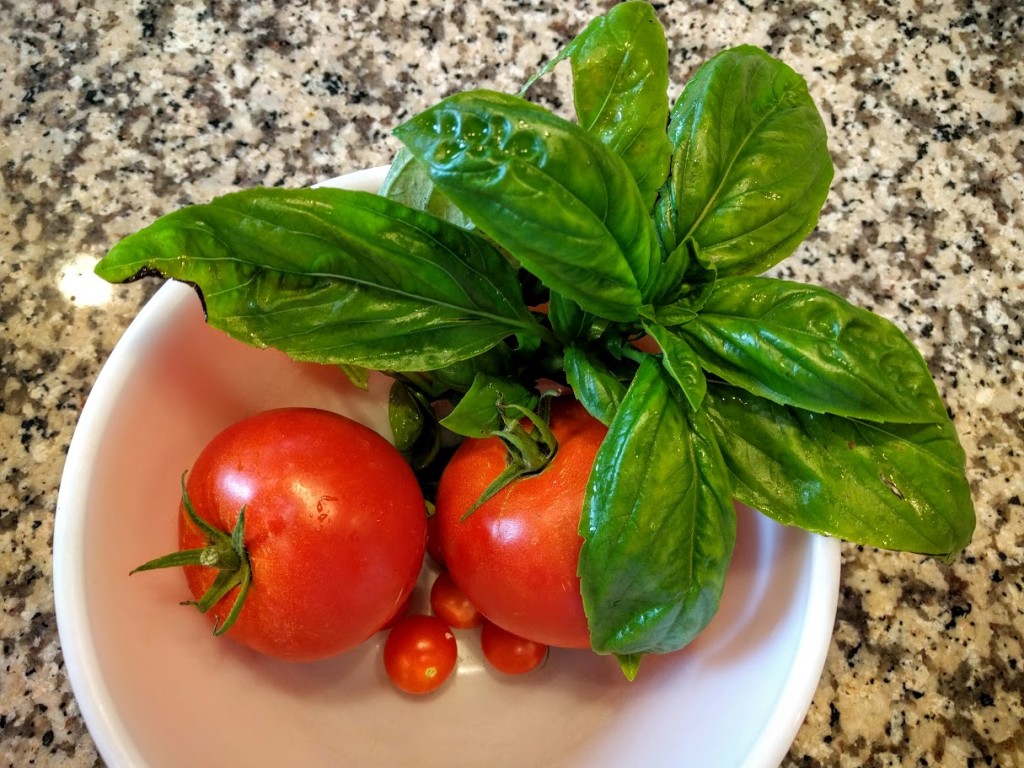 10 Minute Garden Fresh Tomato Sauce | thegreengiraffeeats.com